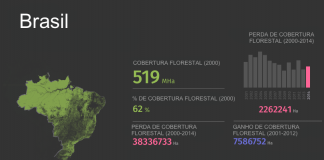 Notícias Breves – 17/11