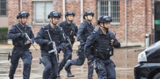 Notícias Breves – 13/11