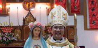 Notícias Breves – 15/11