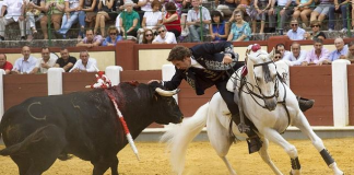A beleza e alegria no risco
