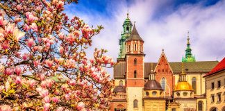 Notícias Breves – 20/12