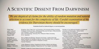 Desacordos esclarecedores Brasil