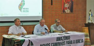 O Sínodo da Amazônia a caminho do socialismo ecológico Tribalismo