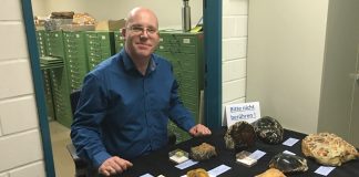 Intolerância de evolucionistas Günter Bechly, ilustre cientista alemão