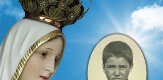 São Francisco de Fátima — Uma semente para o Reino de Maria Francisco de Fátima