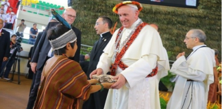 O Instituto Plinio Corrêa de Oliveira lança site sobre Sínodo da Amazônia