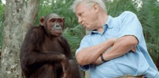 Alarmista “verde” prega contra o nascimento de novas gerações de seres humanos