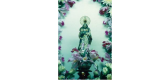 Nossa Senhora da Conceição, Vítima dos Terroristas