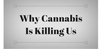 “10 fatos sobre a maconha que mudarão sua mente”