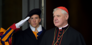 Outro cardeal alemão entra na liça
