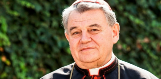 Cardeal de Praga considera a ideologia homossexual “satânica e ateia”