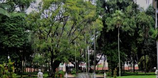 A respeito da natureza criada por Deus, algumas frases que ecologistas odeiam