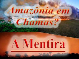 Vídeo: O Brasil sob ataque e a grande Mentira: Amazônia em Chamas