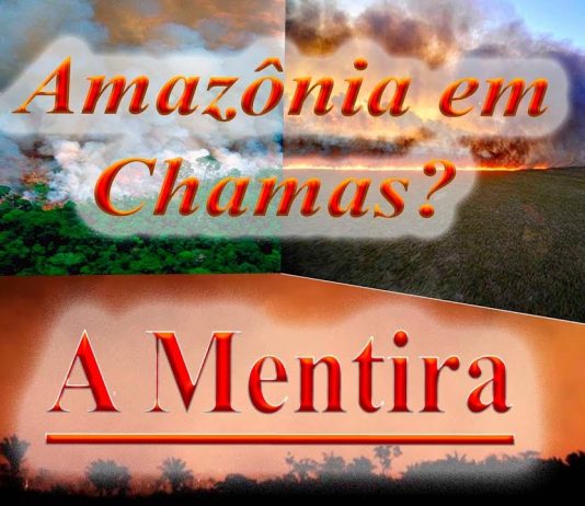 Vídeo: O Brasil sob ataque e a grande Mentira: Amazônia em Chamas