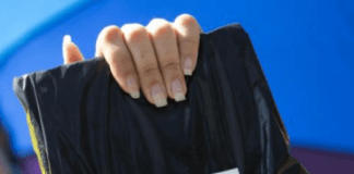 A Bienal do Livro e a petição de Raquel Dodge ao STF: liberdade e igualdade sem limites?