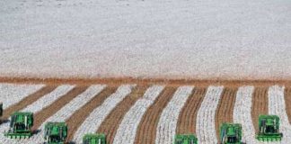 Tempos novos, muito novos