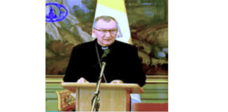 Cardeal Parolin viola a subsidiariedade na ONU, o Sínodo da Amazônia e a soberania nacional