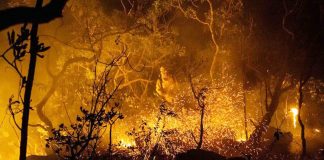 Os mitos e as mentiras das elites globais sobre os incêndios na Amazônia queimam intensamente