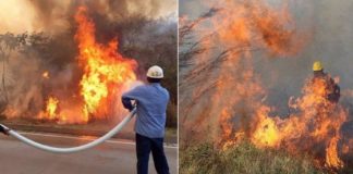 Mitos e mentiras de elites globais sobre os incêndios na Amazônia queimam intensamente