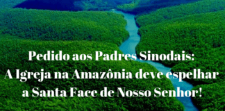 Assine a Petição alertando sobre os perigos do Sínodo da Amazônia