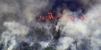 Pânico induzido das queimadas esconde plano anticristão