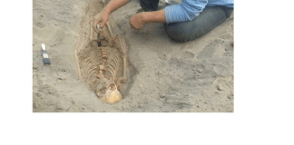 Chimus sacrificam 227 crianças aos deuses. Alerta ao Sínodo Pan Amazônico