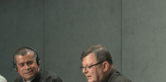 Sínodo e infanticídio indígena: dois bispos contradizem o Cardeal Barreto