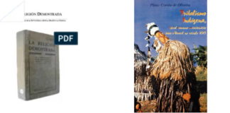 Sínodo da Amazônia, “Sabedoria Ancestral” e a verdadeira Religião Primitiva