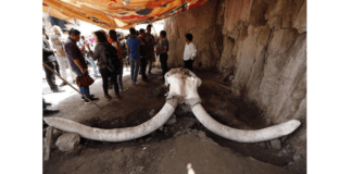 Mudança climática há 15 mil anos? Com a palavra os eco-alarmistas do aquecimento global