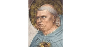 O Sínodo da Amazônia, as mudanças na lei e o ensinamento de São Tomás