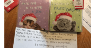 Menina do Reino Unido descobre mensagem de Natal: somos prisioneiros (chineses)