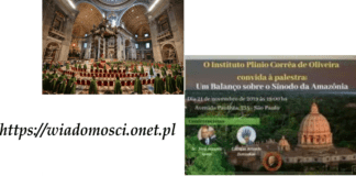 Abolição do Celibato? Continua a repercutir (Polônia) nosso Site Pan Amazon Synod Watch
