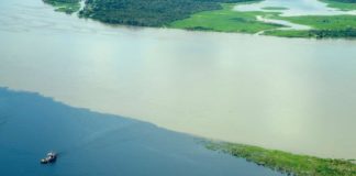 Esqueçam Greta e ouçam os índios…