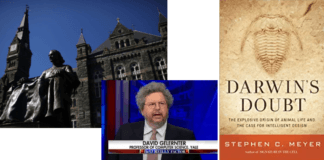 A Evolução fossilizou; surge o Design Inteligente que justifica a Criação (II)