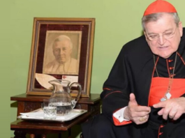 Cardeal Burke: Mensagem sobre o combate ao Coronavirus, COVID-19