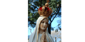 Só Nossa Senhora pode dar alento, força e vitória à reação conservadora: maio 2020