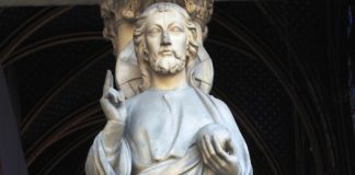 Algumas frases para reflexão nesse período de quarentena, durante o qual circula uma epidemia de inverdades