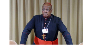 Cardeal Napier (africano) condena o Black Lives Matter, destruidor de civilizações