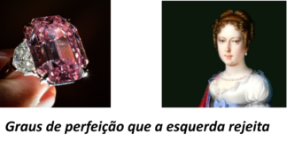 Analogias em graus de perfeição: transcender para amar o Criador (III)