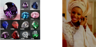 O charme da raça negra. A “luta de raças”, uma revolta contra a desigualdade na Criação