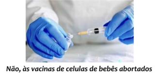 Vacinas: Sanofi Pasteur usará linhas celulares éticas de origem animal