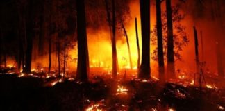 A verdade sobre os incêndios e queimadas