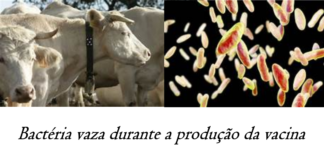 Útil aos que confiam na segurança e eficácia da biofarmacêutica (vacina) chinesa