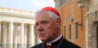 Card. Müller sobre Francisco: «Tudo isto criou uma grande confusão»