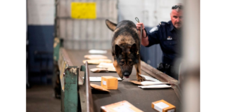 China (PCCh) mata americanos com (envio) fentanil. Alerta Brasil