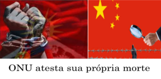 China, Rússia, Cuba no Conselho de Direitos Humanos da ONU? Previsão do Prof. Plinio