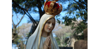 Reflexões à margem da sombria Confusão: “Confiança, Eu venci o mundo!”