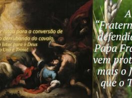 A “Fraternidade” defendida por Papa Francisco vem protegendo mais o Joio do que o Trigo?