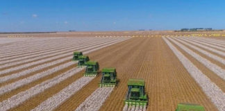 BALANÇO DE SAFRA 2020 — A Coroa de Louros