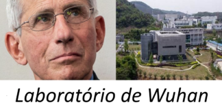 Dr. Fauci, Wuhan e a transmissão de coronavírus de morcego para humanos